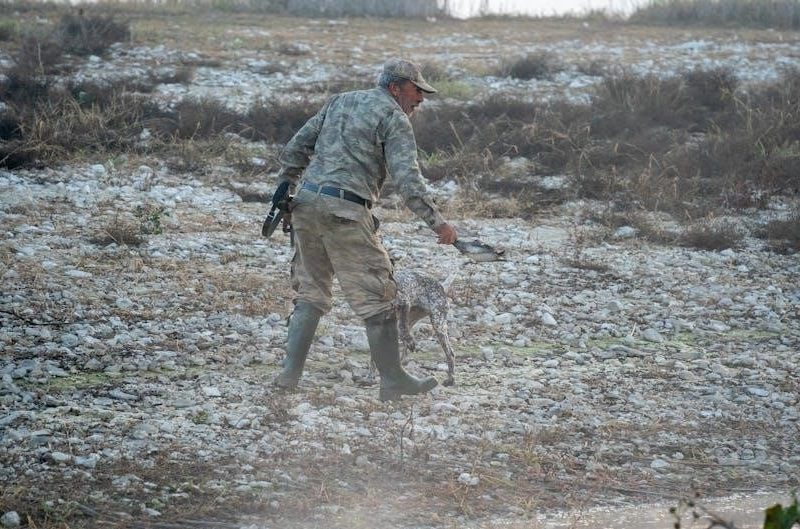 steinhardt’s guide to the eldritch hunt pdf