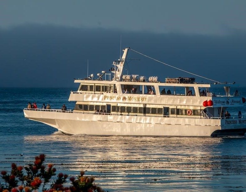 monterey horticultural oil instructions