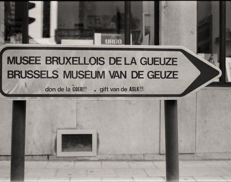 wotlk classic warlock leveling guide