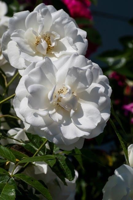 bhagavad gita as it is pdf