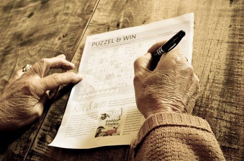 cell organelles crossword puzzle answer key pdf