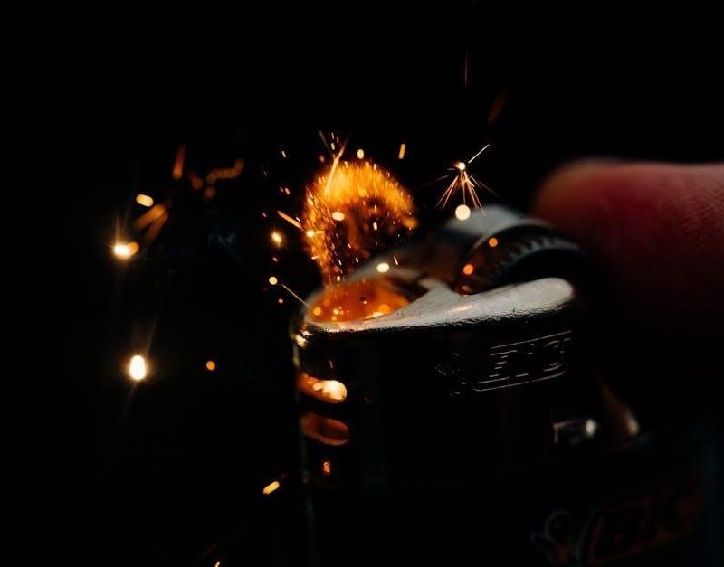 elite bistro pressure cooker manual