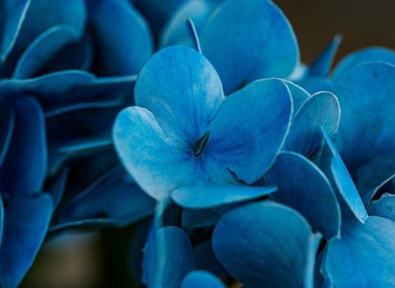 ryobi repair manual pdf free download