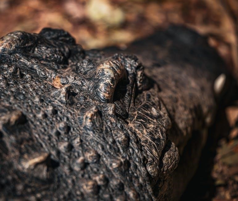 tirzepatide reconstitution calculator pdf free download