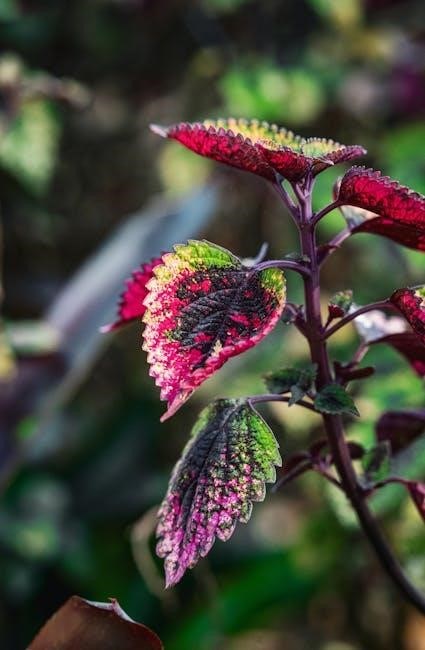 canadian electrical code 2024 pdf free download