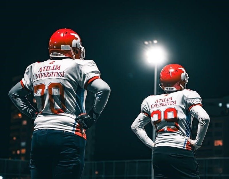 freedman and young university physics pdf