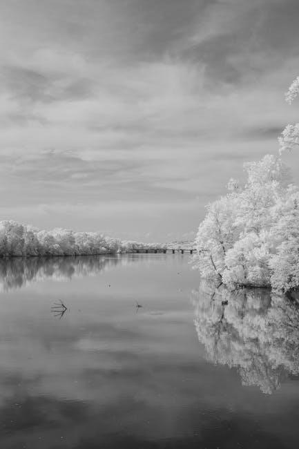 lifesmart infrared heater instruction manual