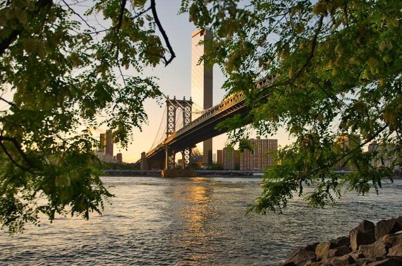 aia guide to new york city