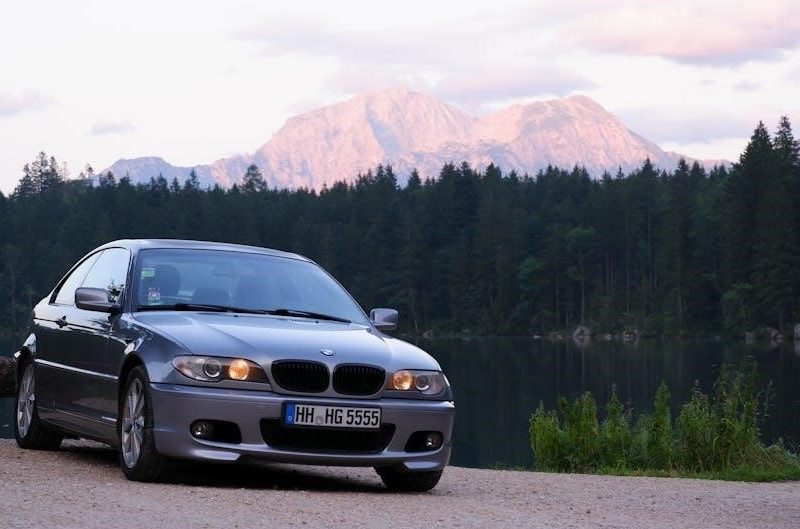 e46 manual swap
