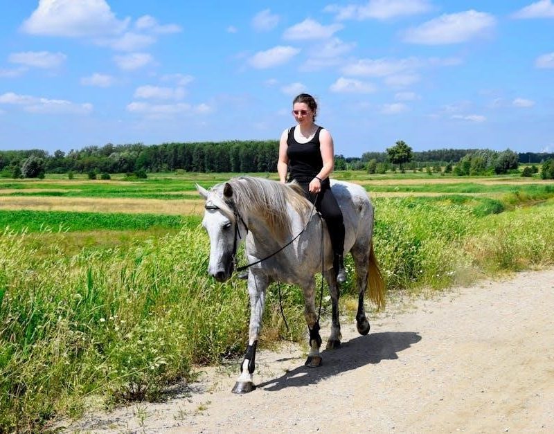 in flanders fields pdf