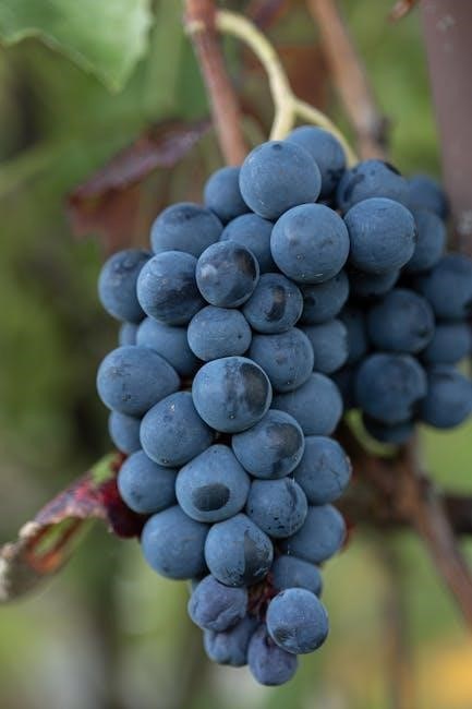 wing shack nutrition facts pdf