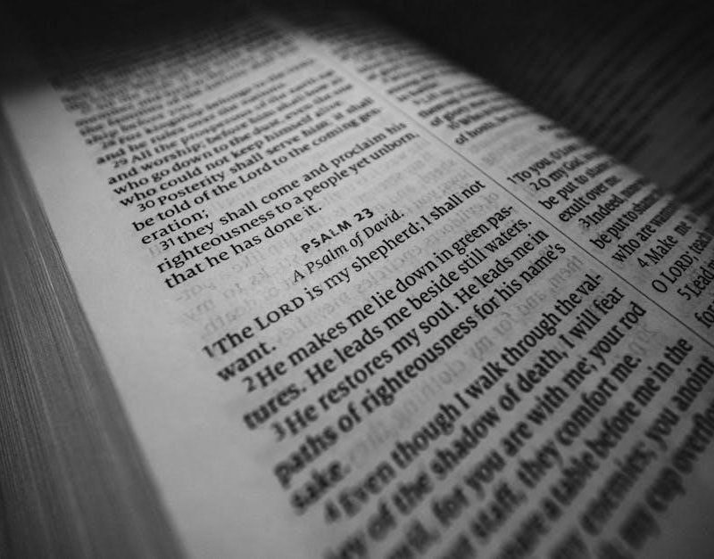 the chosen scripture guide