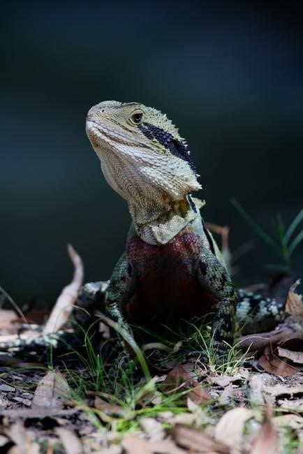 like a dragon trophy guide