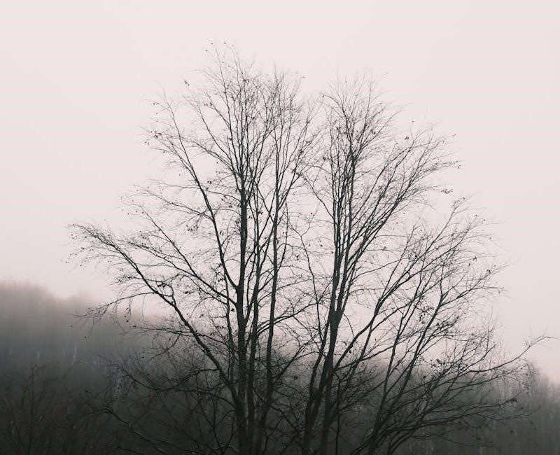 advanced player’s guide pathfinder pdf