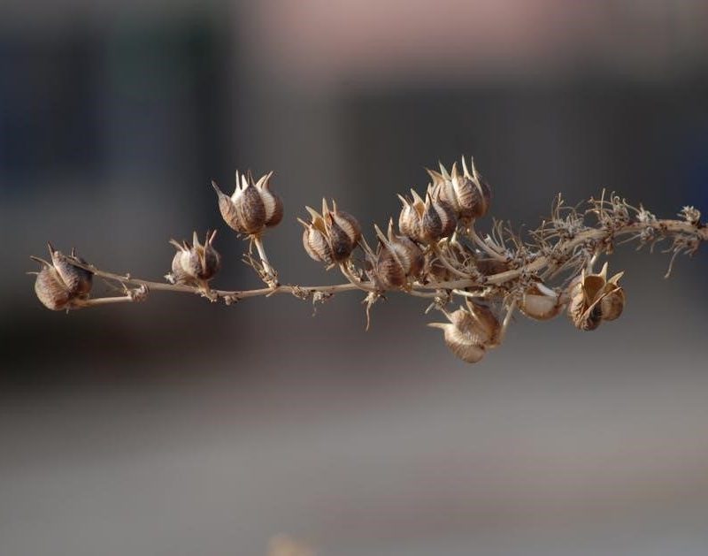 brother pt-d200 manual