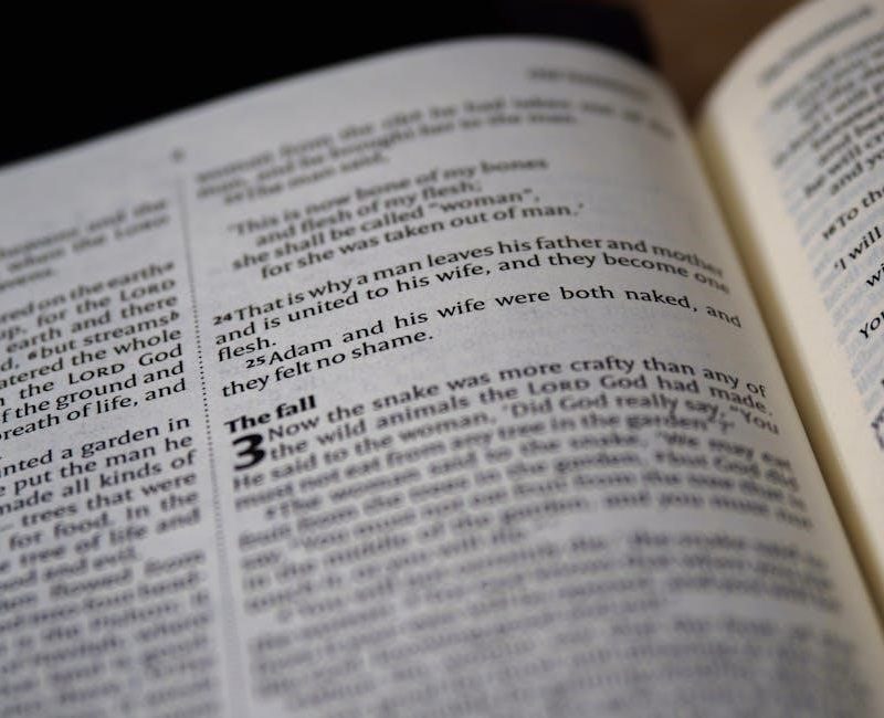 printable bible worksheets pdf